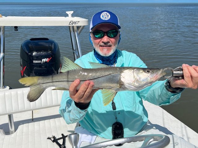 26255611 4f49 4b8b a443 beaa7fd11cfa