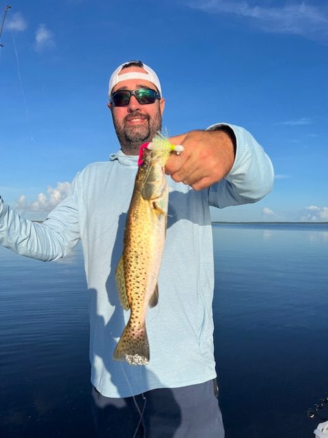 a6d87e0e d8ee 4270 90a9 f7482bd095c6